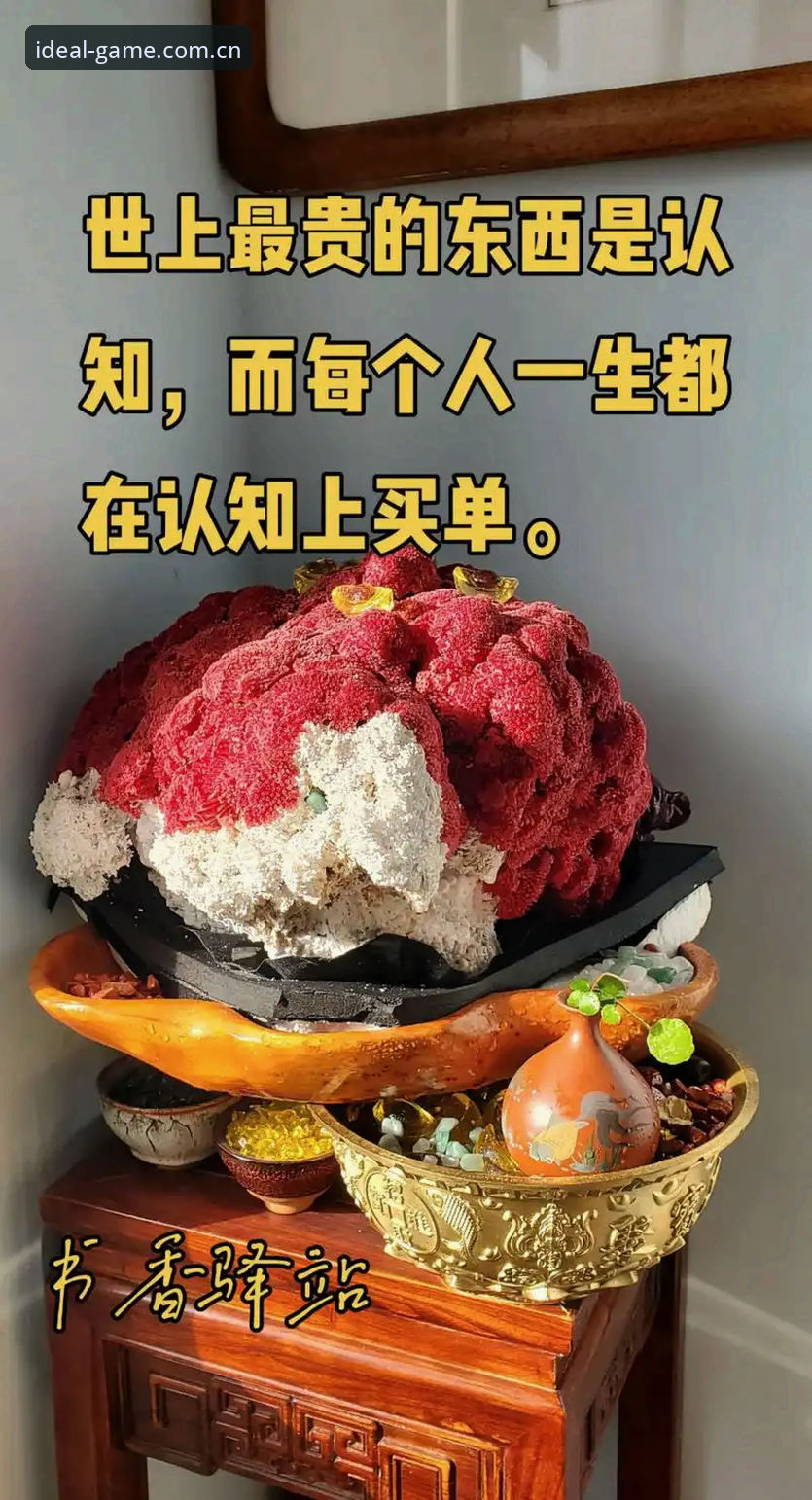 揭秘2026年选秀大会：状元谜局背后的四重博弈，避开这3个认知陷阱